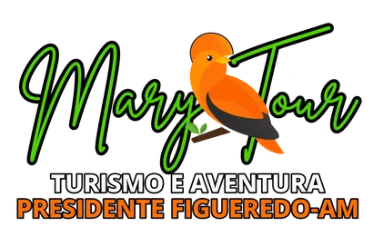 Mary Tour